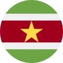 суринамский доллар